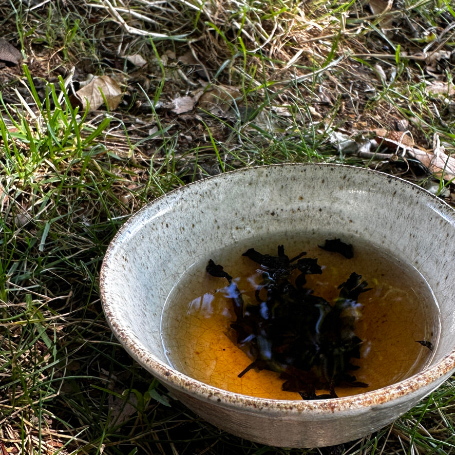 Sheng Puerh - Forest Path (1990s)