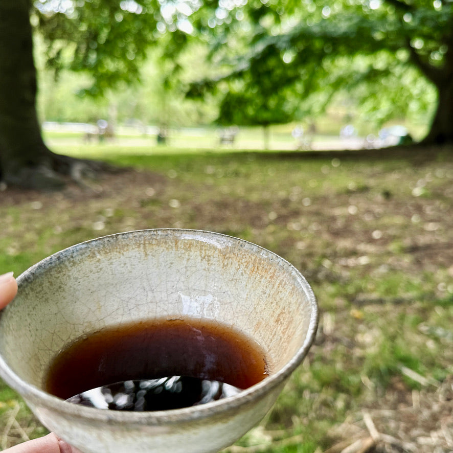 Shou Puerh - Stone Lion